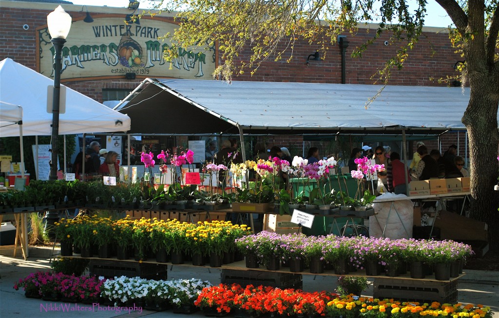 Fusilier Favorites - Farmers Markets | Orlando FL Real Estate